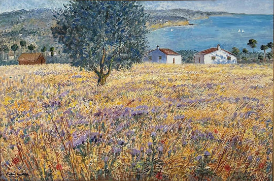 Farmhouses in a field on the Adriatic