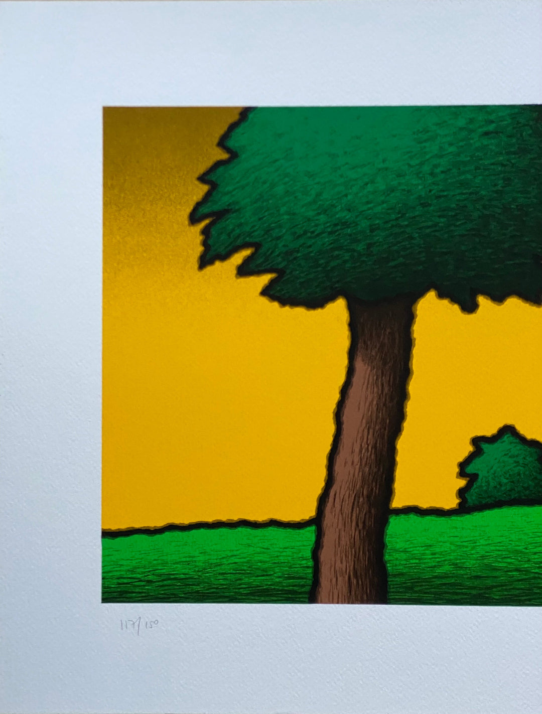 Casolare giallo | Tino Stefanoni