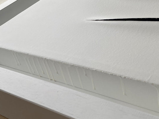 In Art. We Trust (Opera Unica) | Eddy Reel