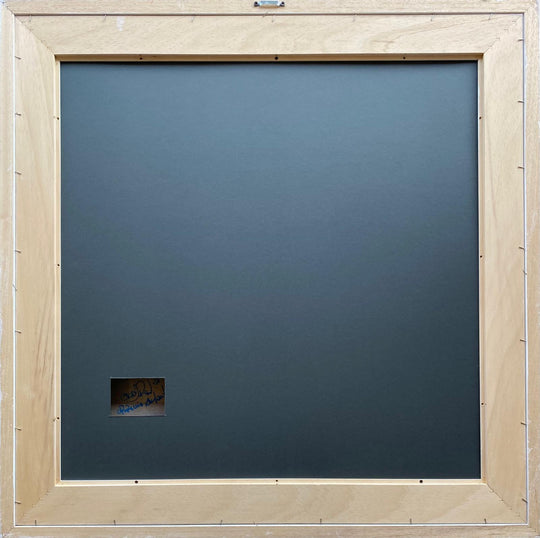 AsymmetricaLove (Opera Unica) | Eddy Reel