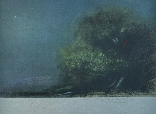 Vita nel mare  | Piero Guccione