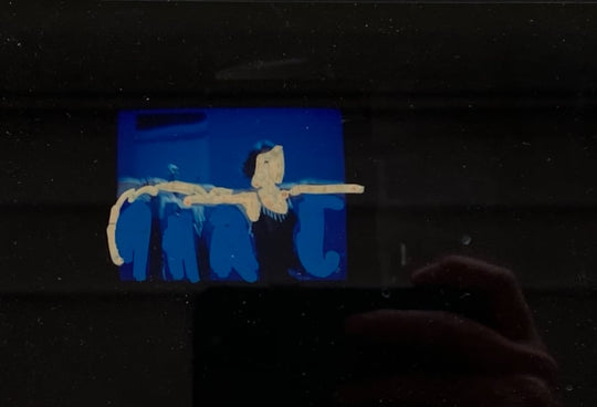 Polaroid II | Mario Schifano