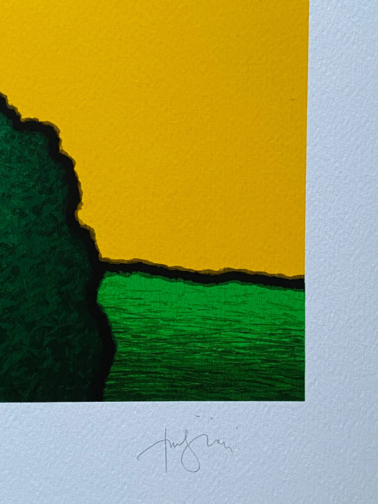 Casolare giallo | Tino Stefanoni