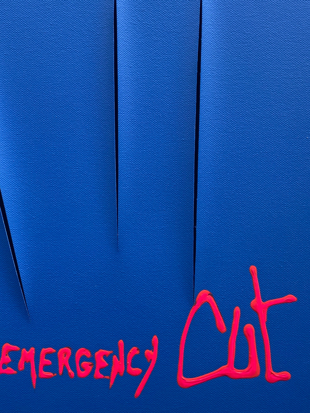 In Case Of Emergency Cut (Opera Unica) | Eddy Reel