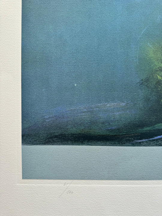 Vita nel mare  | Piero Guccione