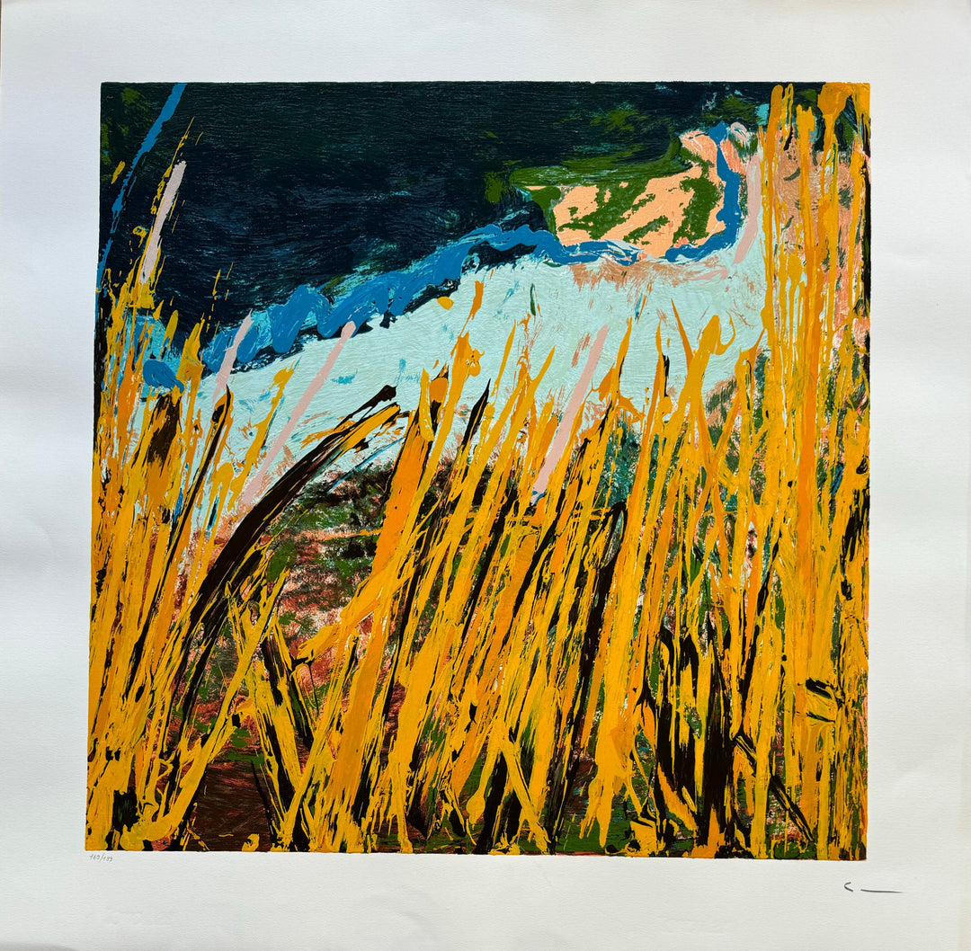 Campi da terra | Mario Schifano - Arte Focus™