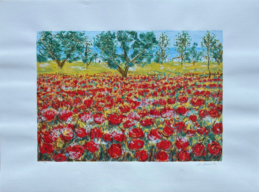 Campo papaveri  | Michele Cascella