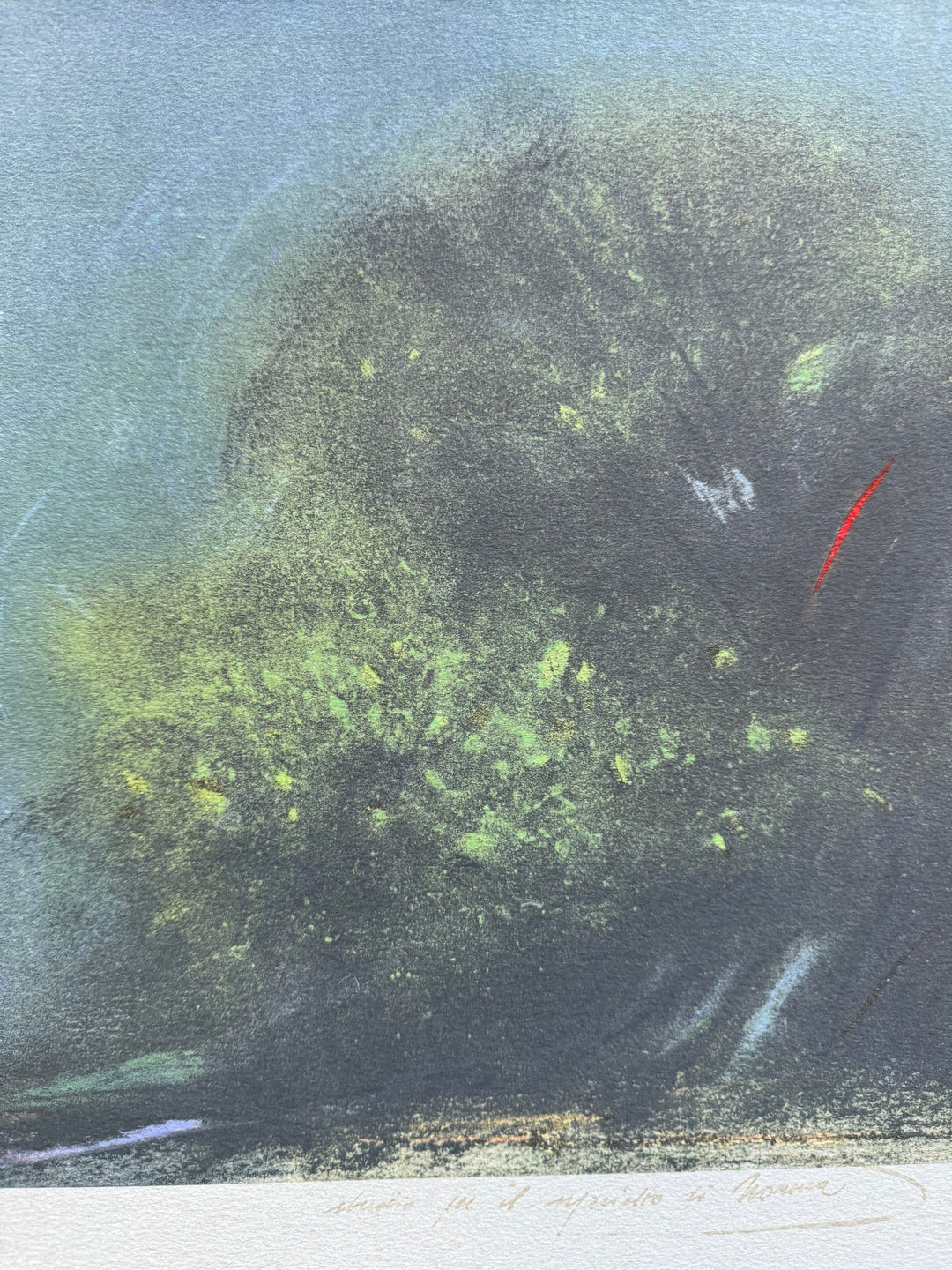 Vita nel mare  | Piero Guccione