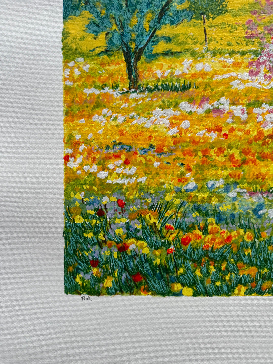 Fioritura dei campi  | Michele Cascella