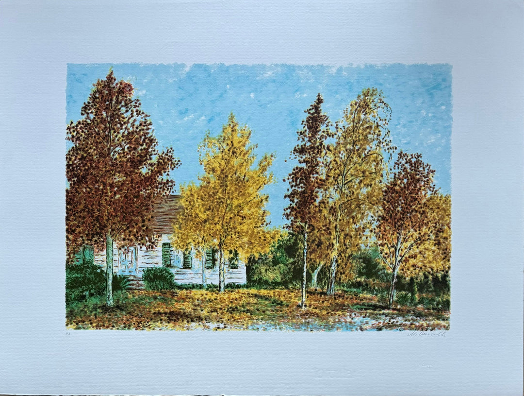 Rifugio nel bosco  | Michele Cascella