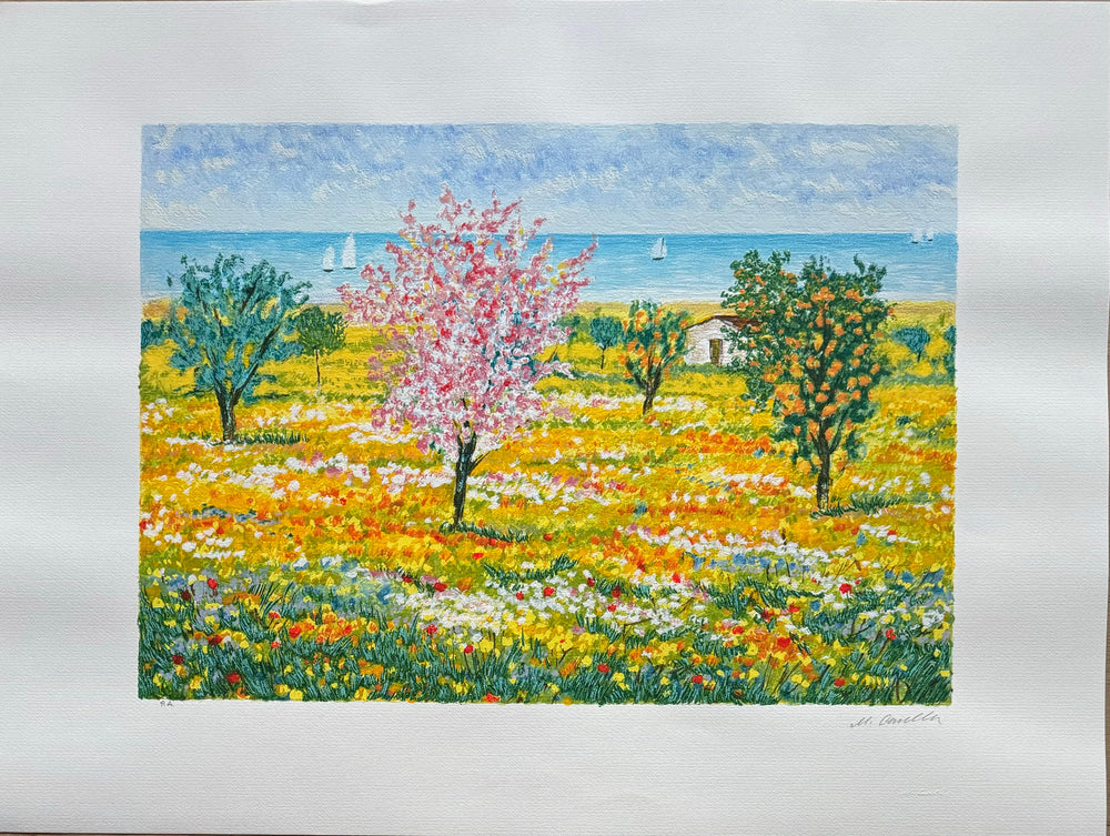 Fioritura dei campi  | Michele Cascella