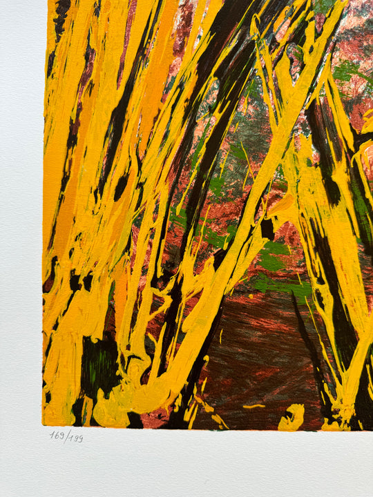 Campi da terra | Mario Schifano - Arte Focus™