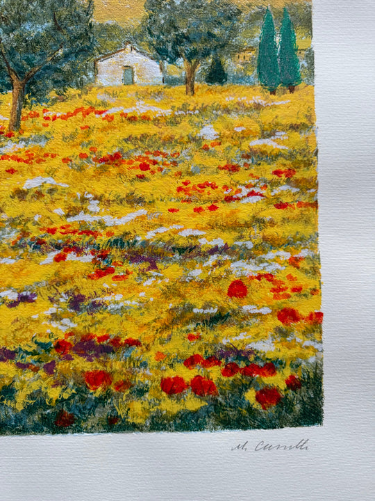 Costa dell'Adriatico  | Michele Cascella