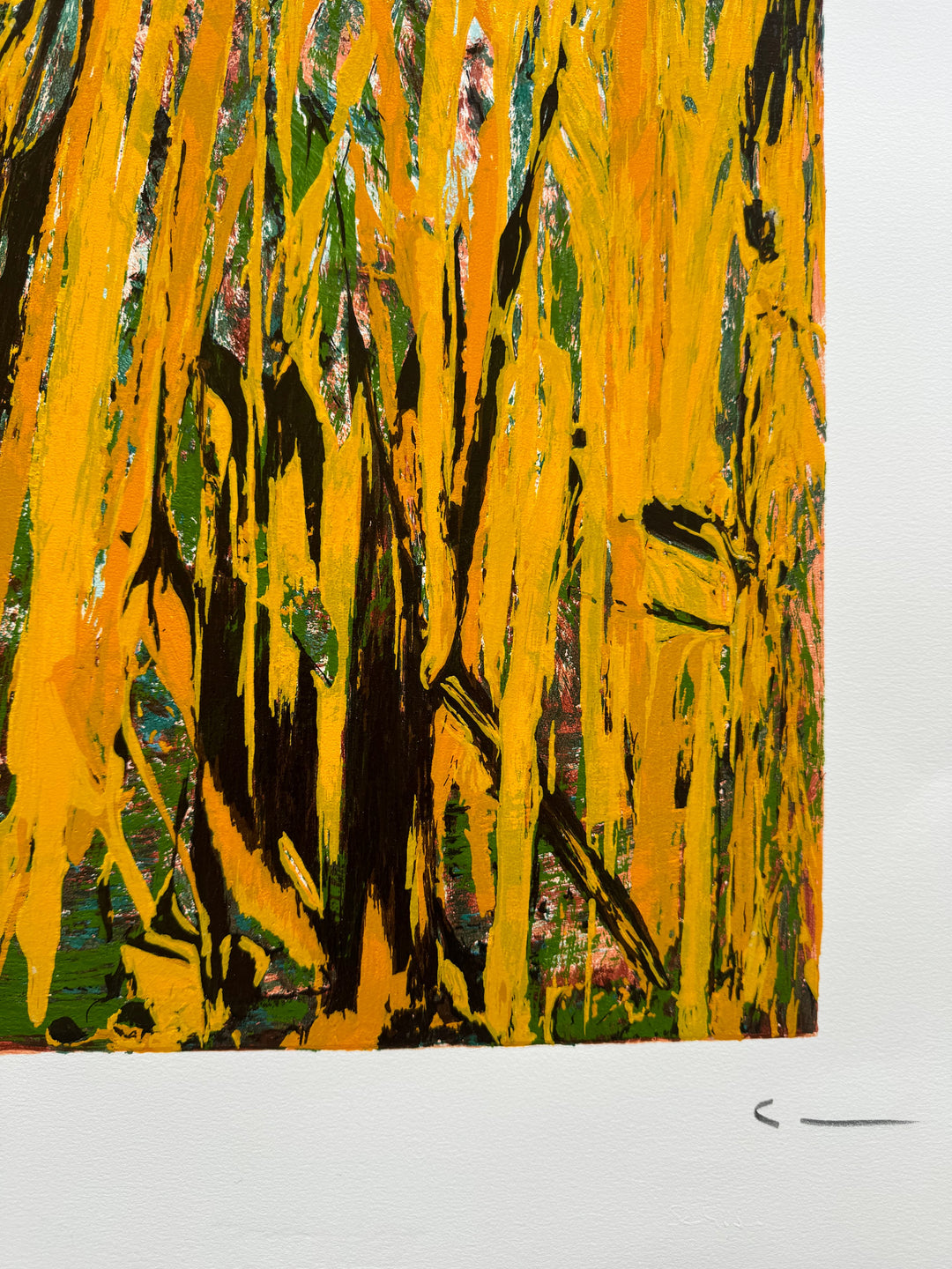 Campi da terra | Mario Schifano