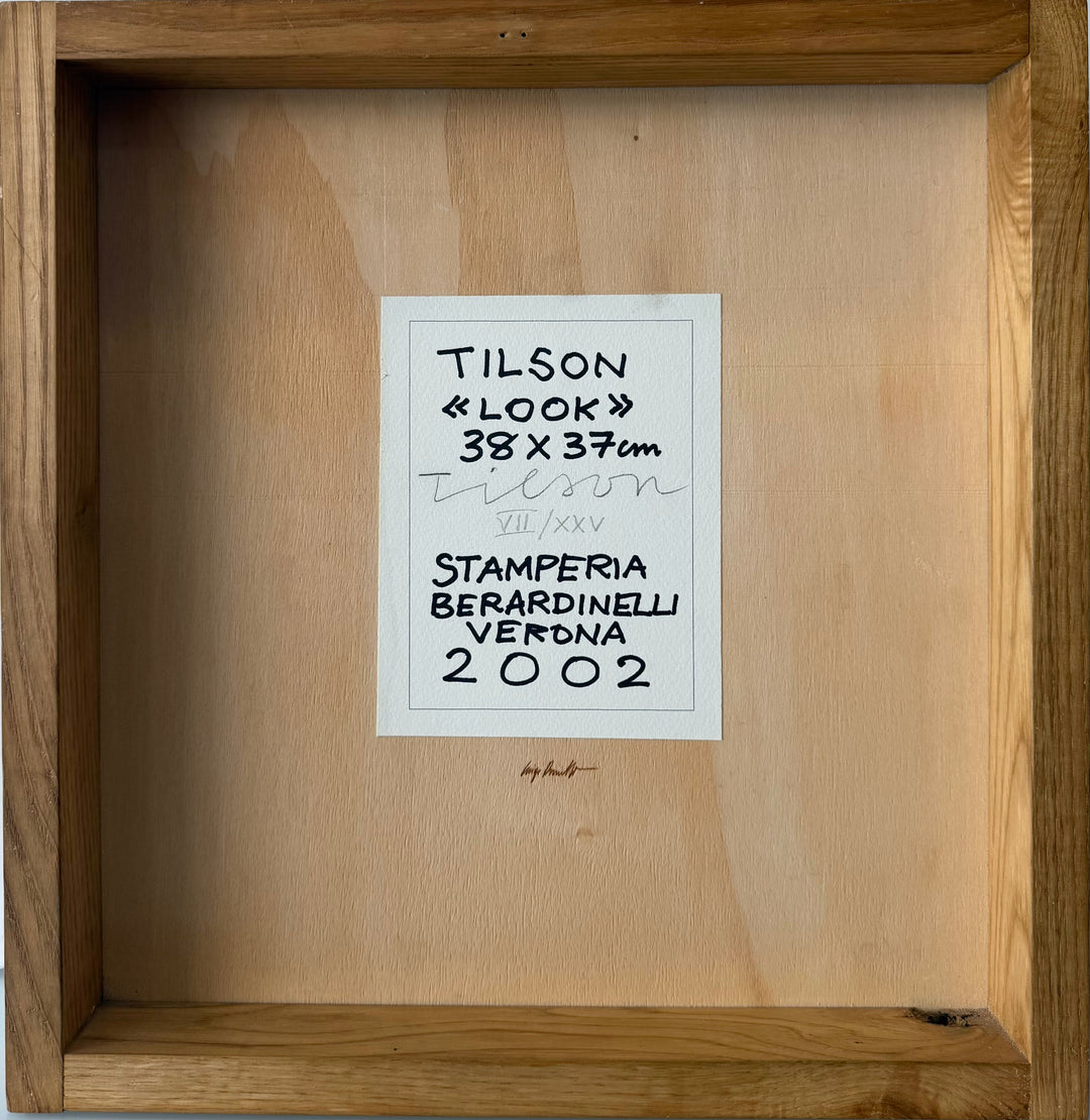 Look | Joe Tilson - Arte Focus™