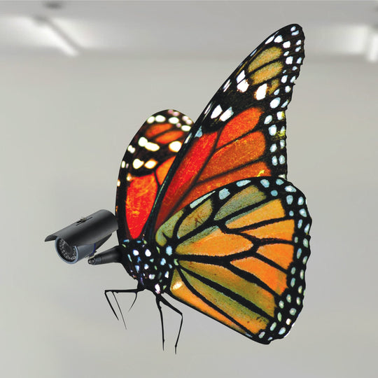 Butter | Pep Marchegiani