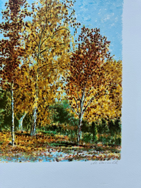 Rifugio nel bosco  | Michele Cascella