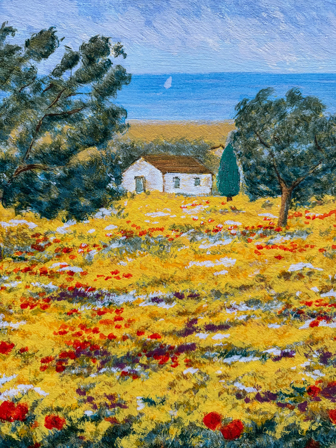 Costa dell'Adriatico  | Michele Cascella