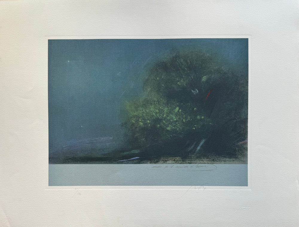 Vita nel mare  | Piero Guccione