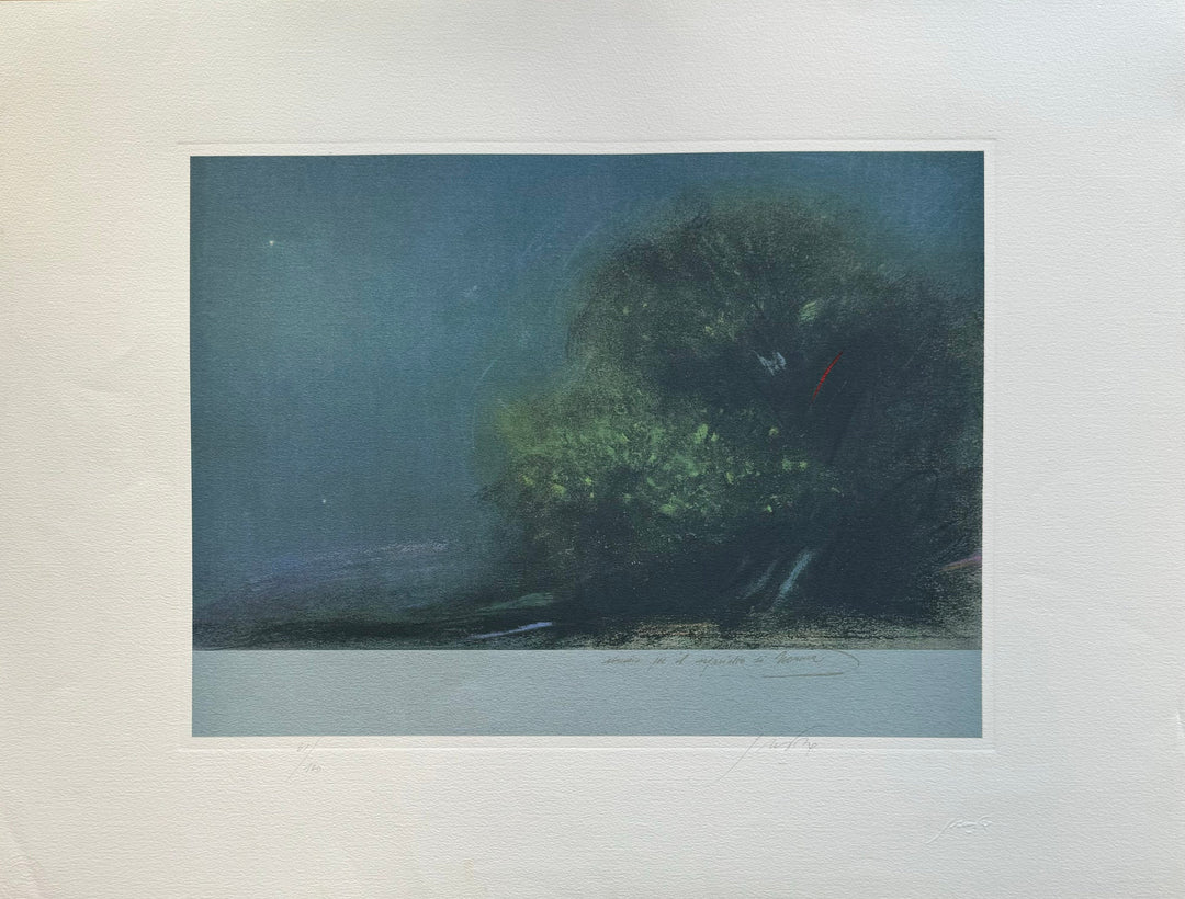 Vita nel mare  | Piero Guccione