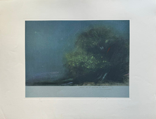 Vita nel mare  | Piero Guccione