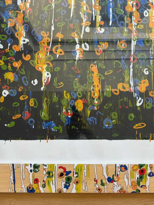 Opera incorniciata: Splendore del floricoltore | Mario Schifano