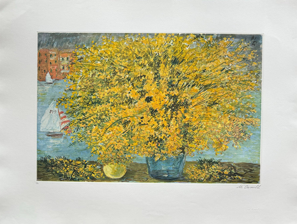 Mimose a Portofino | Michele Cascella