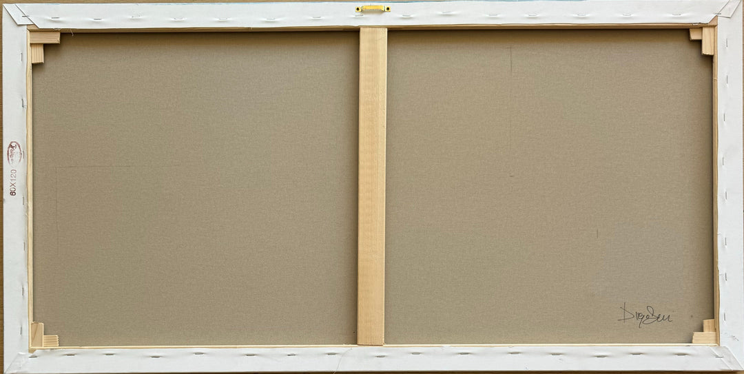 " La notte stellata !" | Diego Santini