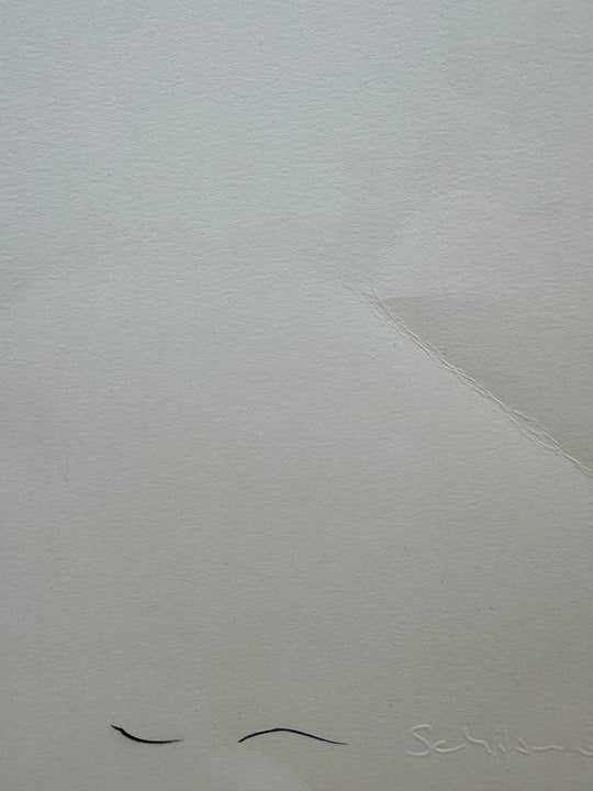 Homs 1934 | Mario Schifano