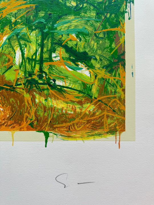 Bellavista  | Mario Schifano