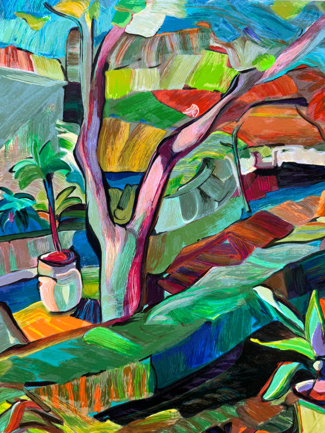 "Giardino del sud" | Claudio Malacarne