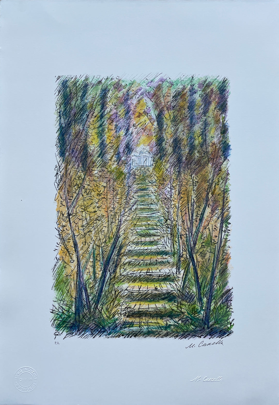 Treppe im Wald | Michael Cascella