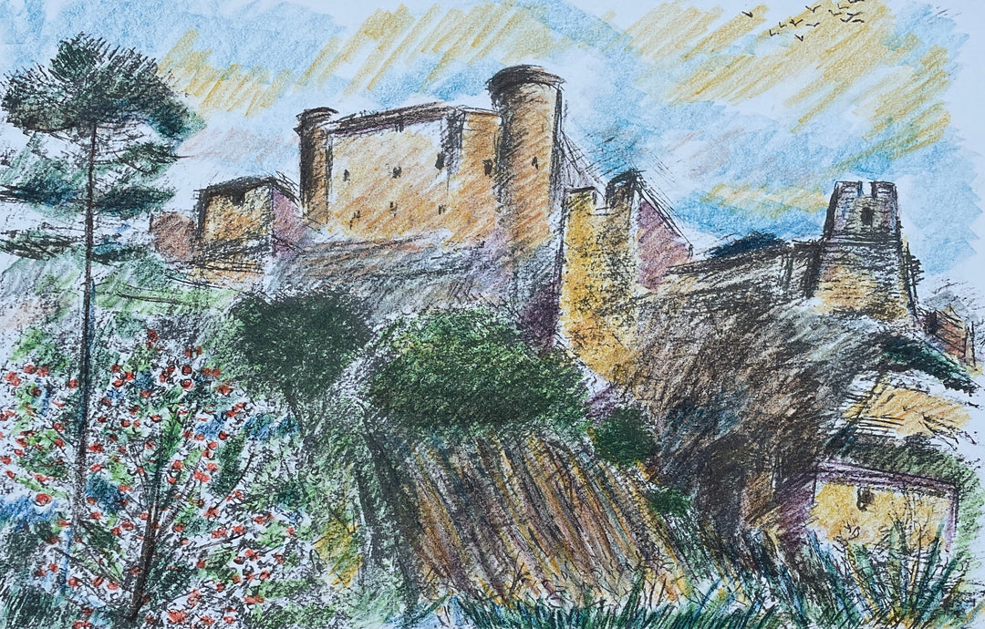 Castillo Aragonés | miguel cascela