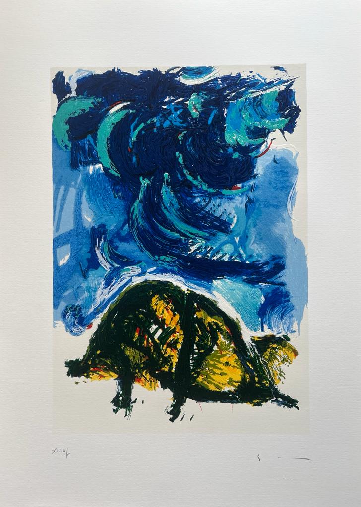 Schildkröte | Mario Schifan
