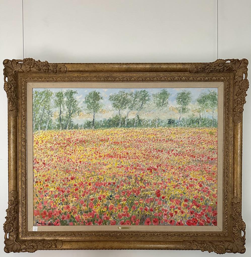 A meadow of spring flowers and poppies